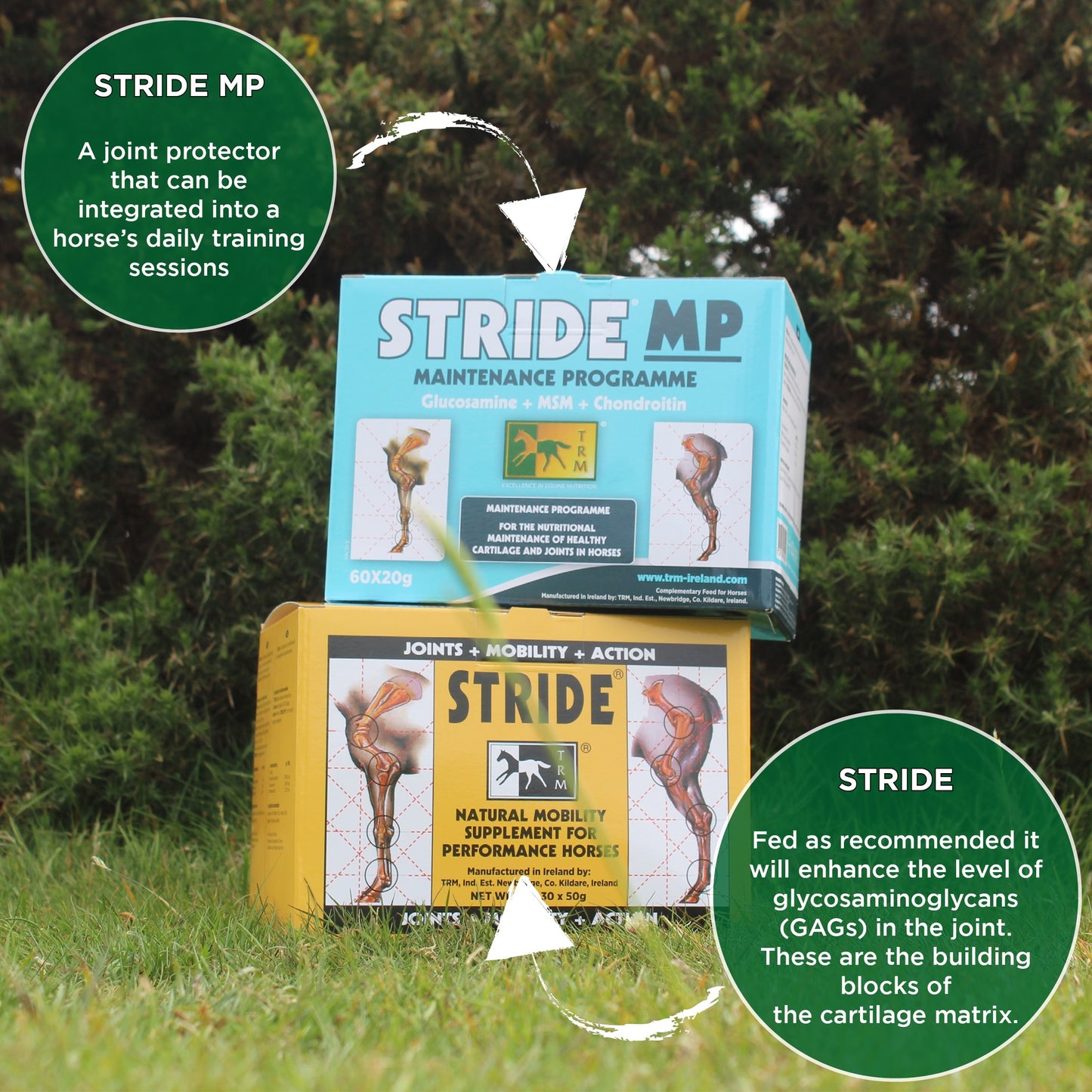 TRM Stride MP 60 x 20g