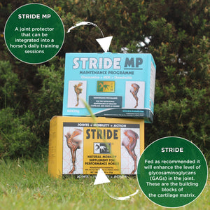 TRM Stride 30 x 50g