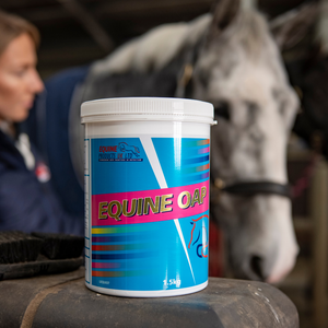 Old Horses Supplement - Equine Products UK Equine OAP 1.5kg