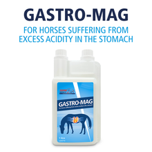 Equine Products UK Gastro Mag