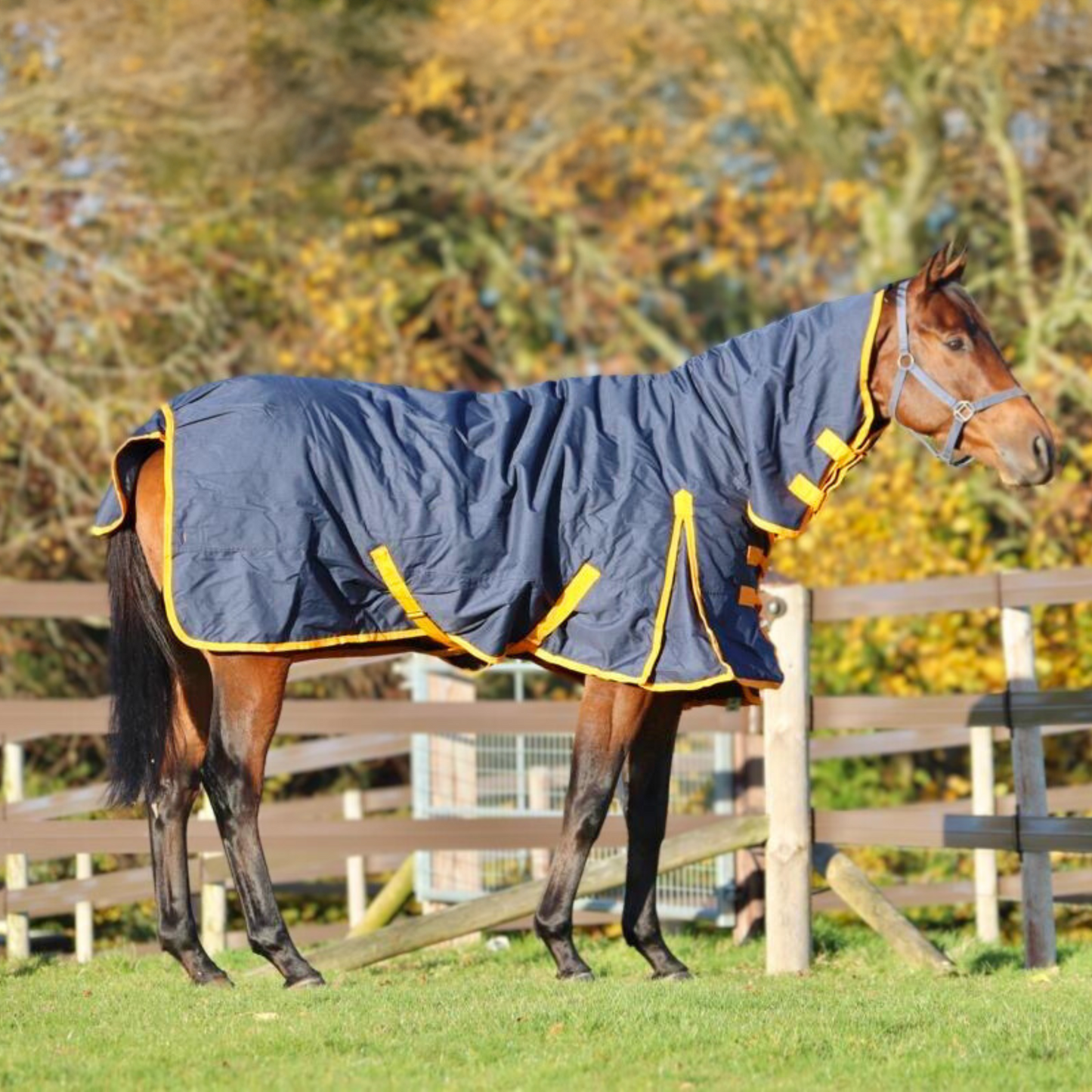 Equine Products UK Heavyweight Turnout Rug Full Neck