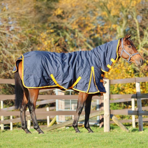 Equine Products UK Heavyweight Turnout Full Neck Rug