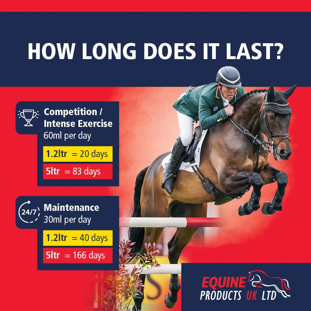 Equine Products UK No More Bute - Highly Bioavailable Turmeric