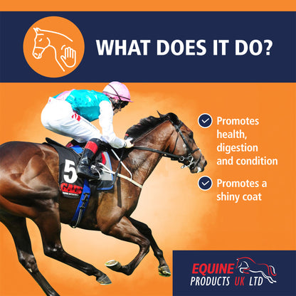Equine Products UK Linseed Oil