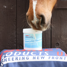 Equine Products UK Everyday Electrolyte