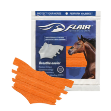 FLAIR® Nasal Strip Orange Single