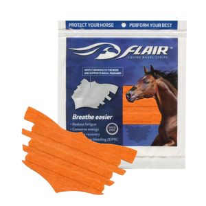 FLAIR® Nasal Strip Orange Single