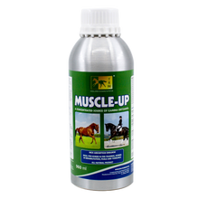 TRM Muscle-Up