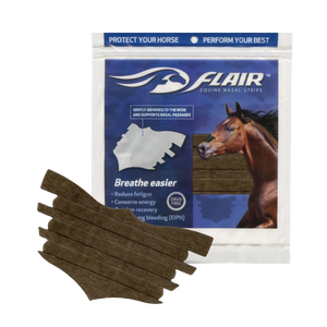 FLAIR® Nasal Strip Brown 6 Pack