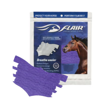 FLAIR® Nasal Strip Purple Single