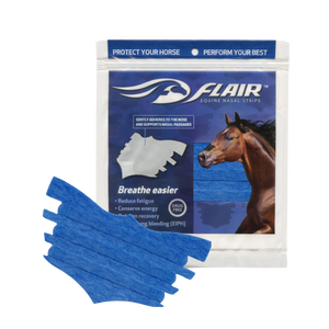 FLAIR® Nasal Strip Blue 6 Pack