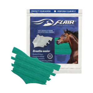 FLAIR® Nasal Strip Turquoise 6 Pack