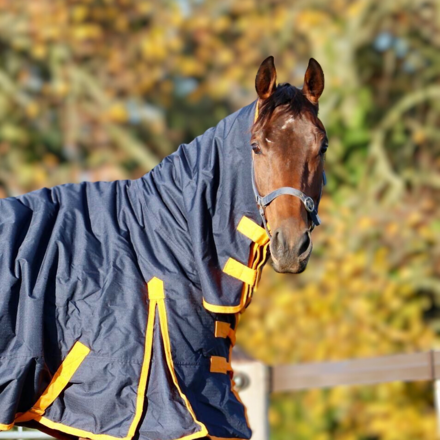 Equine Products UK Heavyweight Turnout Rug Full Neck