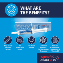 Equine Products UK Cool It Paste - Calmer For Horses