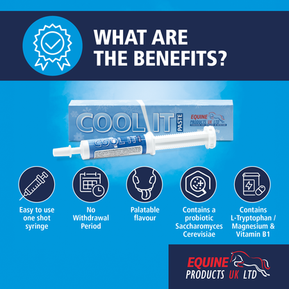 Equine Products UK Cool It Paste - Calmer For Horses