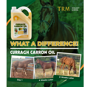 TRM Curragh Carron Oil