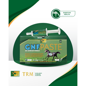 TRM GNF Paste 28 x 80g