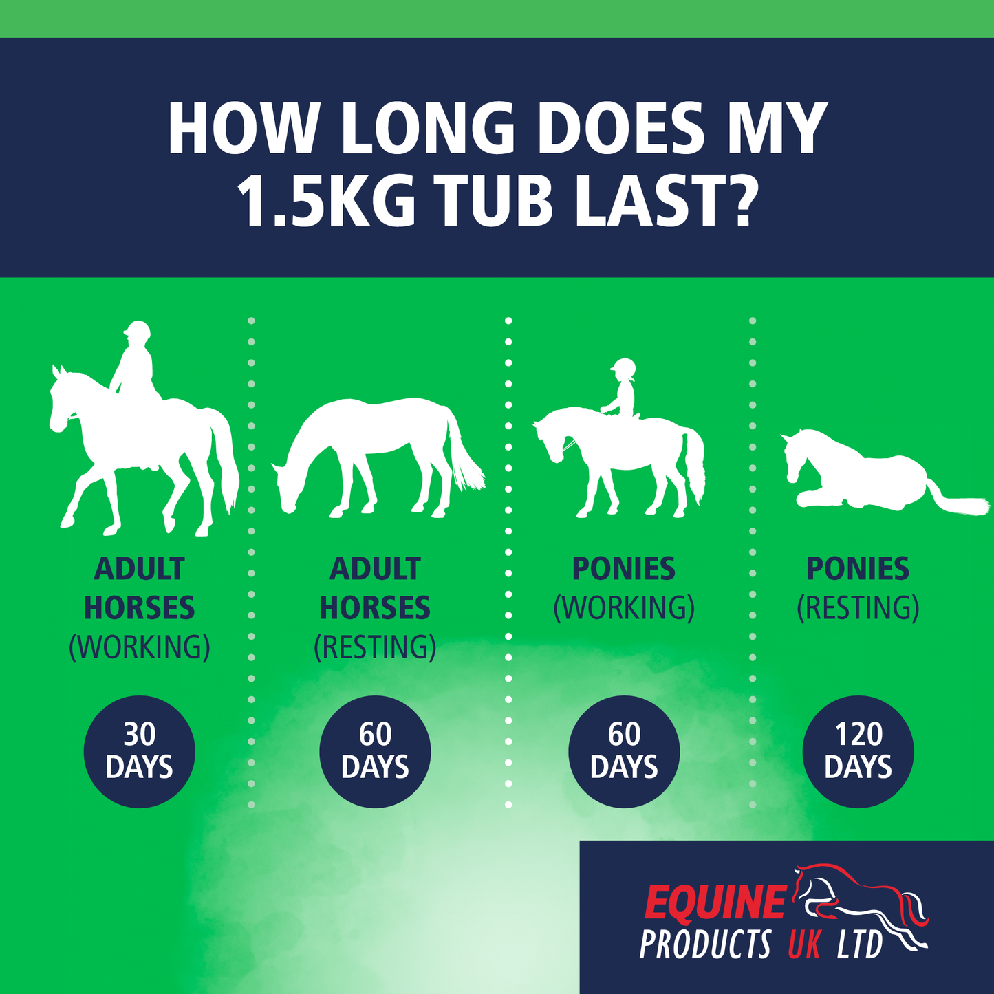 Equine Products UK Selenavite E Powder - The Ultimate Feed Balancer