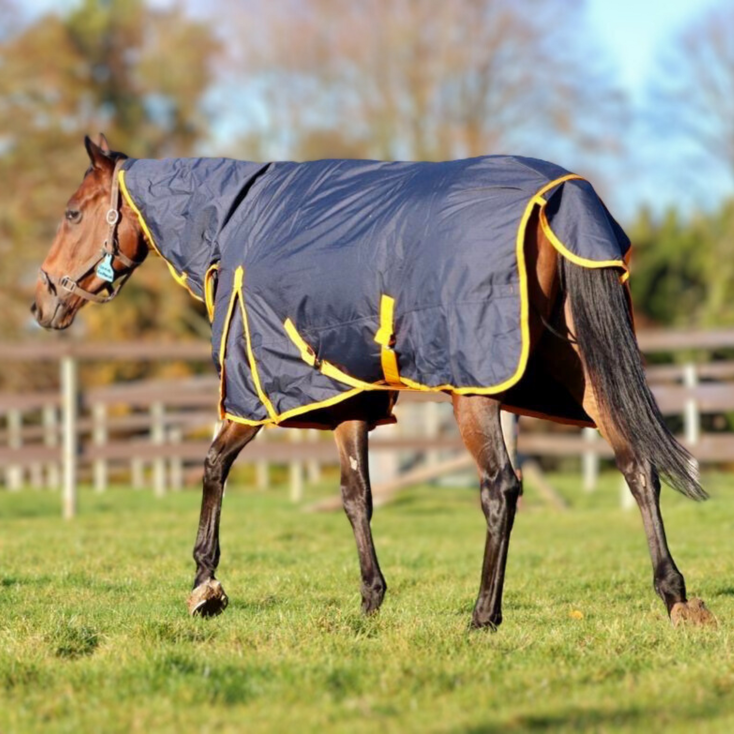 Equine Products UK Heavyweight Turnout Rug Full Neck
