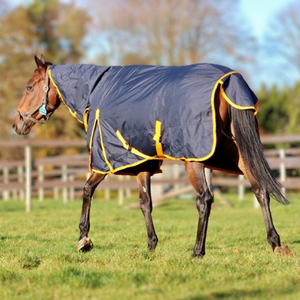 Equine Products UK Heavyweight Turnout Full Neck Rug