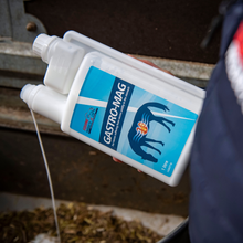 Equine Products UK Gastro Mag