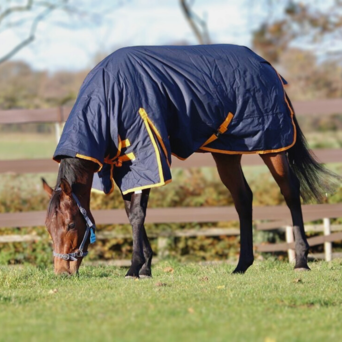 Equine Products UK Heavyweight Turnout Rug Full Neck