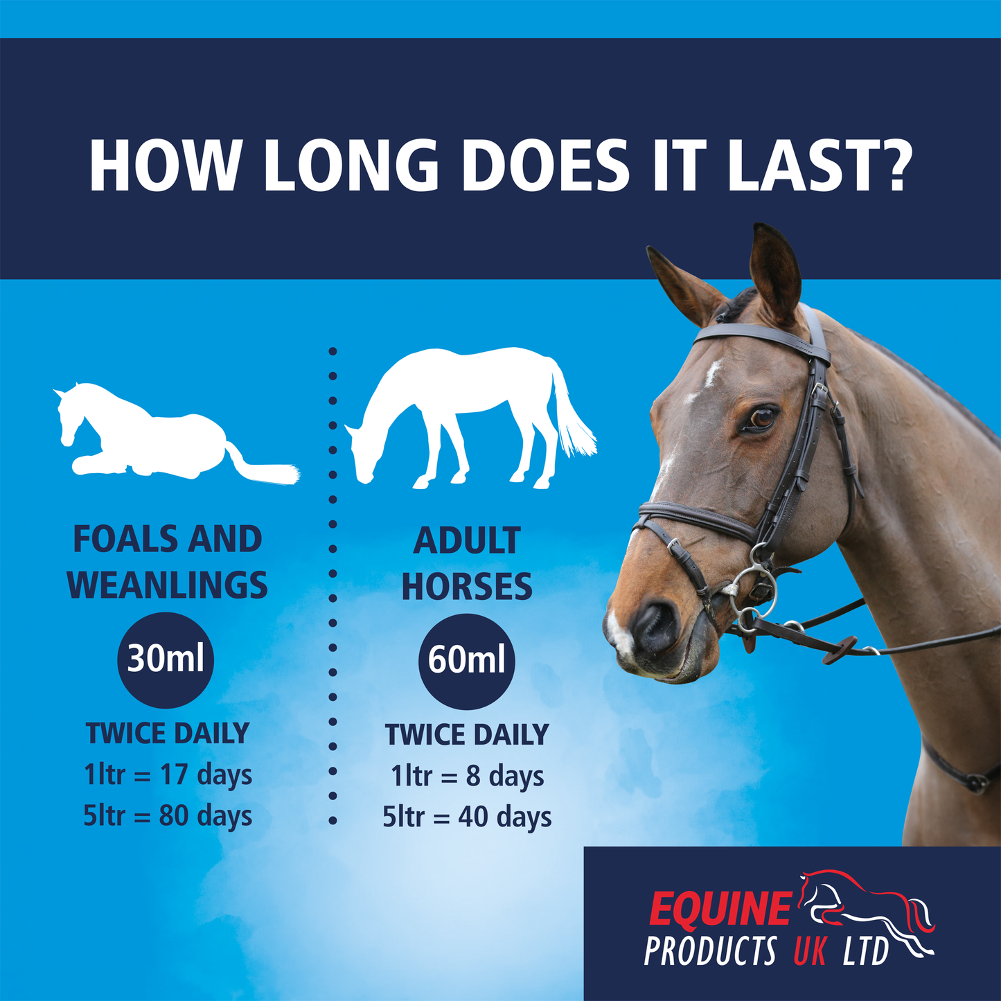 Equine Products UK Gastro Mag