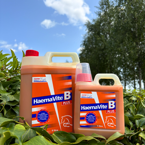 Equine Products UK Haemavite B Plus