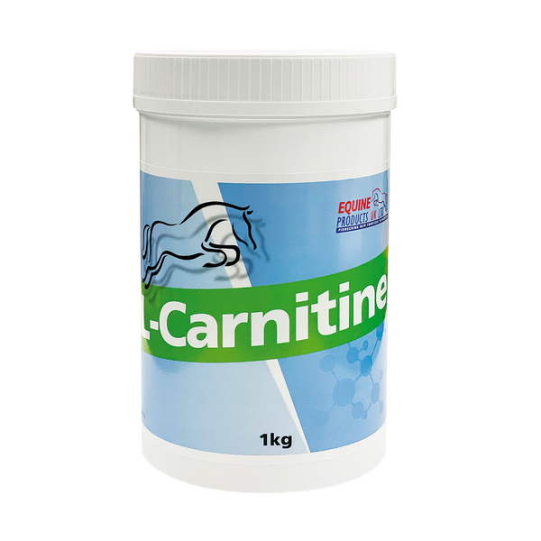 l carnitine for myocarditis L-Carnitine, 500 mg Veggie Capsules l carnitine for myocarditis L-Carnitine, 500 mg Veggie Capsules