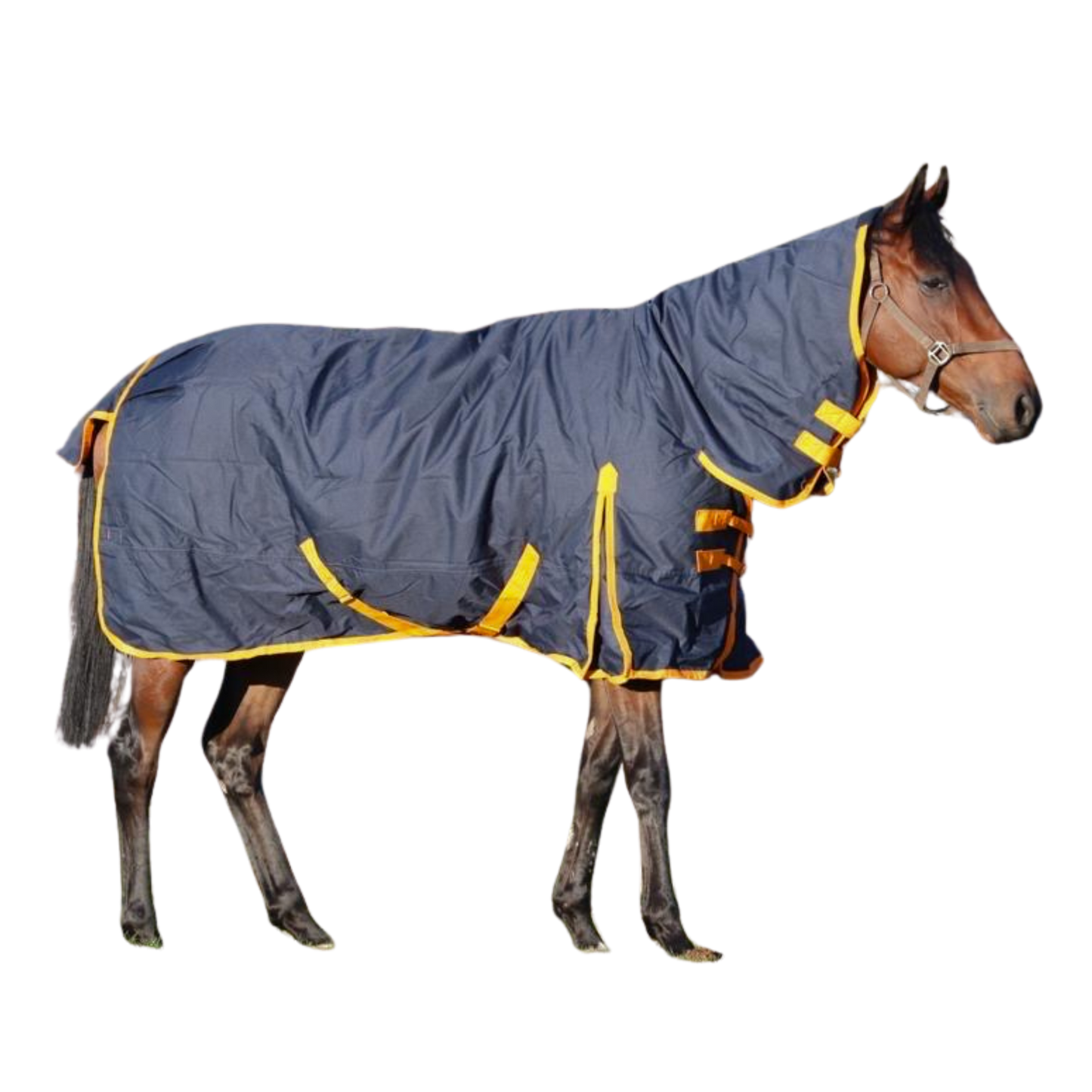 Equine Products UK Heavyweight Turnout Rug Full Neck
