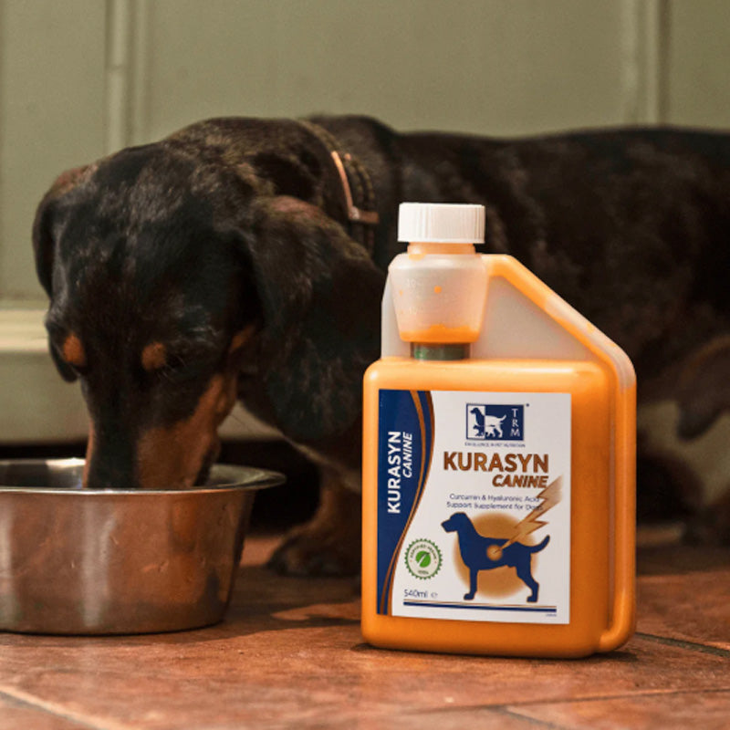 l-carnitine for dogs uk Equine Products 1KG – equineproducts-ukltd for patients with carnitine PHYTO MAGIC BRIGHTENING L-GLUTATHIONE Reproductive Flavor:Lemon Italian Ice Stevia + Monk Fruit