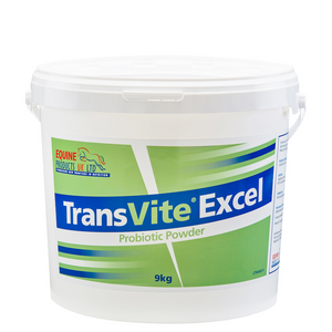 Equine Products UK Transvite Excel - The Ultimate Gut Balancer